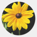 Buscar peatones pegatinas Verde