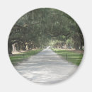 Buscar roble imanes Histórico