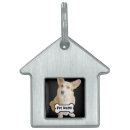Buscar hueso perro accesorios Simple