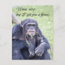 Buscar chimpancé divertido postales Humor