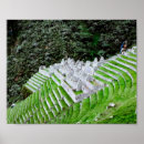 Buscar inca arte Naturaleza