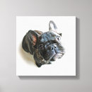 Buscar french bulldog arte Pet