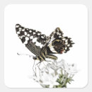 Buscar golondrina pegatinas Animal