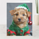 Buscar norfolk terrier tarjetas Navidades