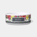 Buscar gris gato accesorios 9 º gata