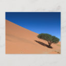 Buscar duna postales Paisaje