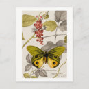 Buscar flores coloreadas postales General y unisex