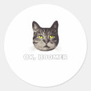 Buscar ok pegatinas Boomer