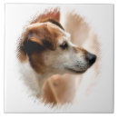 Buscar dog azulejos Adorable