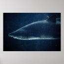 Buscar submarino posters Vintage