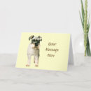 Buscar schnauzer miniatura tarjetas Perro