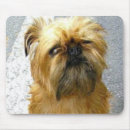Buscar griffon alfombrillas de raton Bruselas
