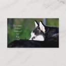 Buscar siberian husky tarjetas de visita Fornido