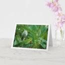 Buscar alcantarilla tarjetas Para todos