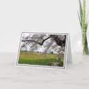 Buscar pastoral tarjetas Para ella