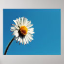 Buscar cielos azules posters Naturaleza
