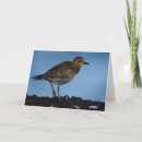 Buscar migración tarjetas Aves migratorias