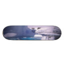 Buscar hielo tablas de skate Glaciar