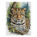 Buscar leopardo posters Jungla