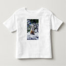 Buscar vulpes camisetas Vida silvestre