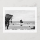 Buscar aguja postales Playa