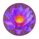 Buscar violeta tablas cortar Flores