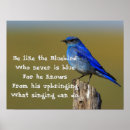 Buscar bluebird posters Animal