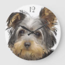 Buscar yorkies relojes de pared Cachorros