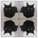 Buscar gato blanco y negro manualidades General y unisex