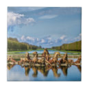 Buscar versalles azulejos Francia