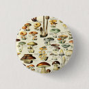 Buscar naturalistas chapas Bosque