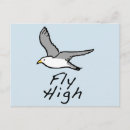 Buscar pájaro en vuelo postales Pájaros