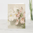 Buscar libro de la vida tarjetas Para ella