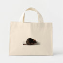 Buscar rat bolsos Roedor