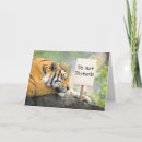 Buscar tiger tarjetas Humor