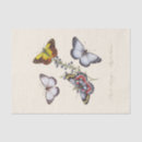 Buscar insectos papel de seda Para todos