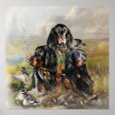 Buscar gordon posters Setter