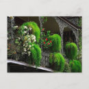 Buscar new orleans postales Para ellos