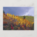 Buscar logan utah postales Otoño