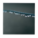 Buscar gotas de agua azulejos Naturaleza