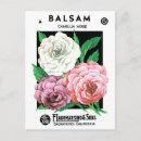 Buscar camelias postales Jardinería