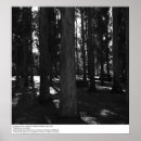 Buscar uc berkeley posters Ansel adams