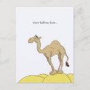 Buscar dibujo animado del desierto postales General y unisex