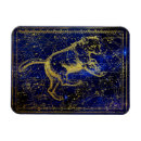 Buscar ursa Zodiaco