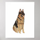 Buscar pet posters Para mascotas