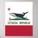 Buscar cetáceos posters Ballena jorobada