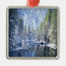 Buscar california adornos Río