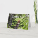 Buscar momma tarjetas Familia