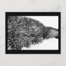 Buscar nevando postales Naturaleza