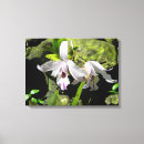 Buscar fotografía paneles decorativos Flores